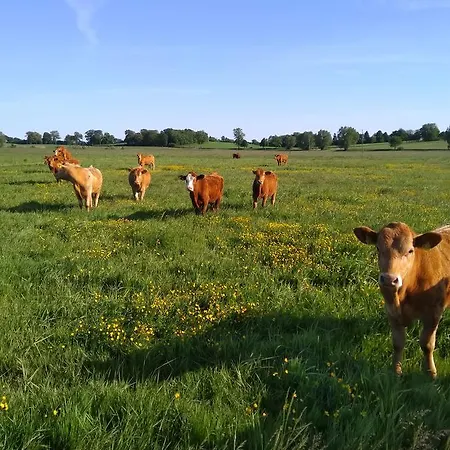 Segebrecht * Zirchow