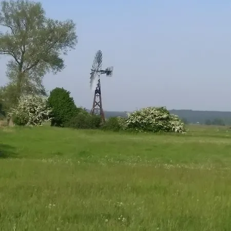 Segebrecht *